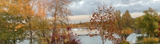 Viszlát 2026 - ban !